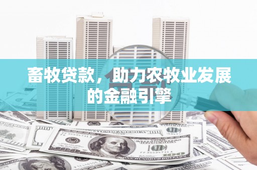 伽师畜牧贷款，助力农牧业发展的金融引擎
