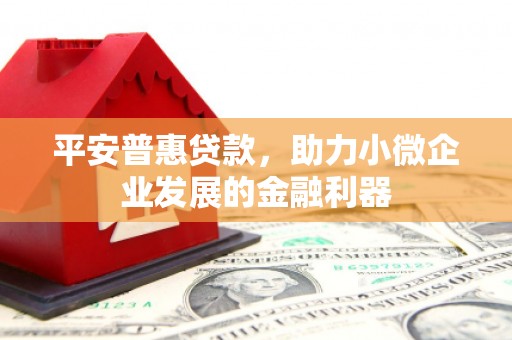 灌云平安普惠贷款，助力小微企业发展的金融利器