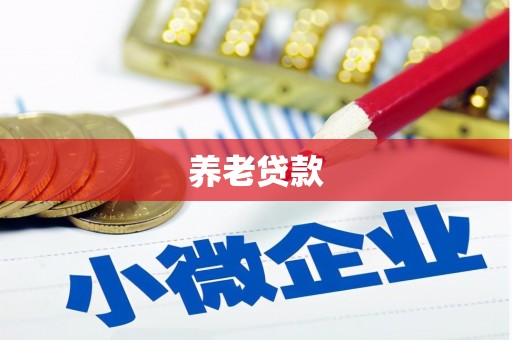 洞口养老贷款
