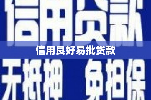 泸定信用良好易批贷款