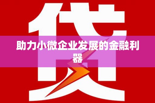 惠东助力小微企业发展的金融利器
