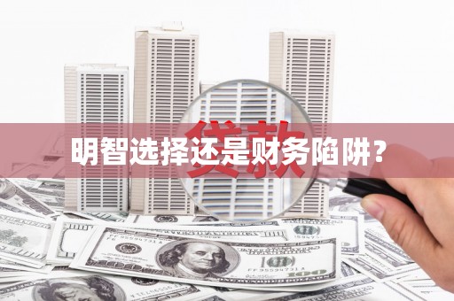 双桥明智选择还是财务陷阱？