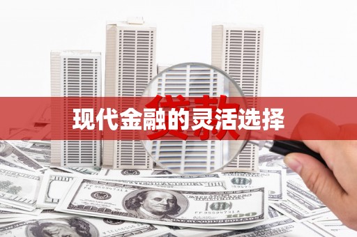 麻豆现代金融的灵活选择