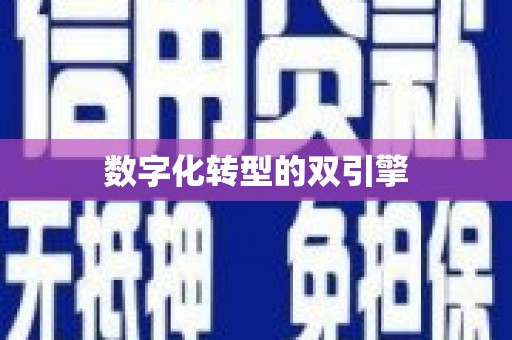 襄阳数字化转型的双引擎