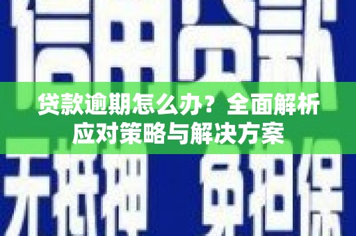 昭苏贷款逾期怎么办？全面解析应对策略与解决方案