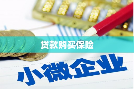 麻山贷款购买保险