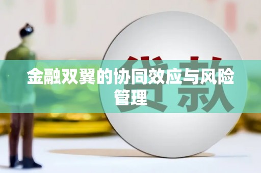 岱岳金融双翼的协同效应与风险管理