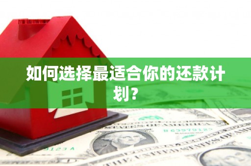 资源如何选择最适合你的还款计划？