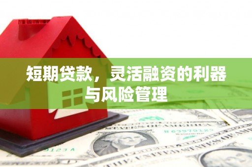 张掖短期贷款，灵活融资的利器与风险管理